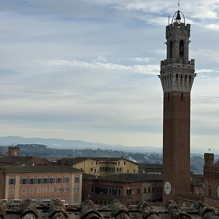 Il Nido